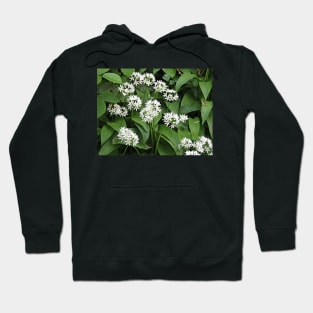 Wild Garlic Hoodie